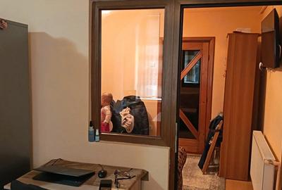 Vand garsoniera zona Astra Vand garsoniera zona Astra - 4