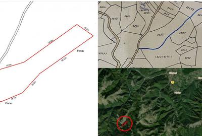 Teren de 14526 mp, în Gura Râului - 4