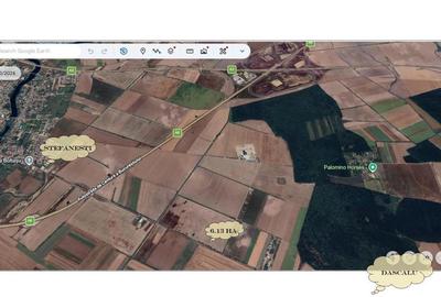 Teren intravilan de 61300 mp, în Ștefăneștii de Jos - 1