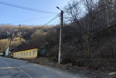 Casă cu 3 camere cu Teren 729 Mp în Văliug - 1