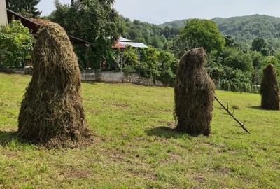 Teren vanzare in comuna Adunati - zona BREAZA - Prahova Teren vanzare in comuna Adunati - zona BREAZA - Prahova - 8