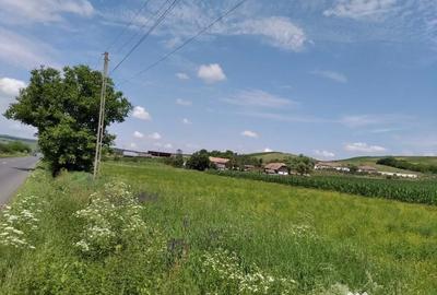 Teren de 6600 mp, în Band - 1