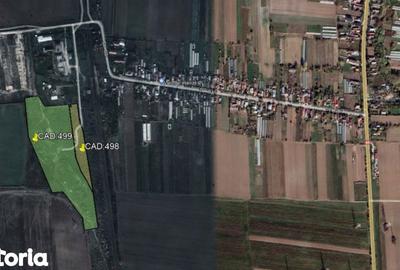 Teren de 47035 mp, în Pleșoiu - 1