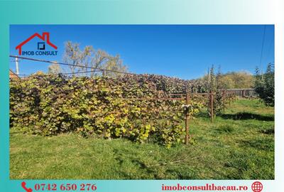 Casă cu 3 camere cu Teren 1877 Mp în Est - 8