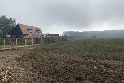 Spațiu comercial, în Ghermănești - 2