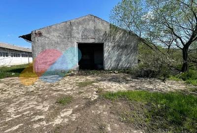 Teren Intravilan 16.000 Mp situat la DN-E81 Zalau-Cluj - 9