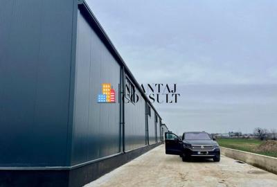 Magurele- Centura - 11