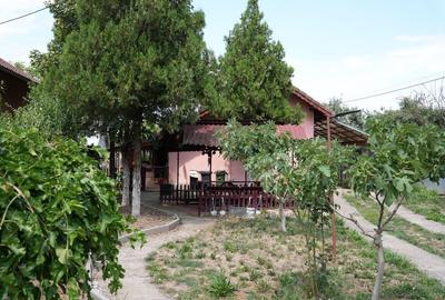 Casă cu 4 camere cu Teren 1100 Mp în Gepiu - 5