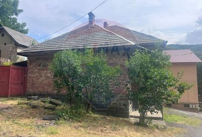 Casa solida cu dublu front stradal de vanzare-cartierul Ferneziu - 20