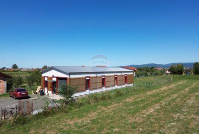 Spațiu comercial, de 150 mp, în Lăpuș - 2