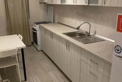 Apartament o camera de inchiriat in zona Cetatii - 3