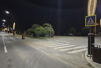 Teren de 500 mp, în Betfia - 4