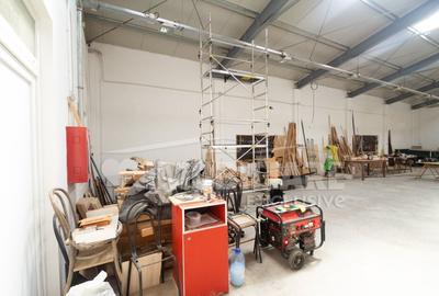 Spațiu comercial, de 560 mp, în Remetea Mare - 2