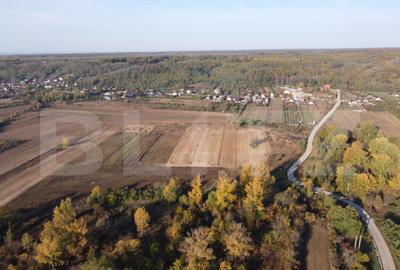 Casă cu 2 camere cu Teren 1000 Mp în Central - 5