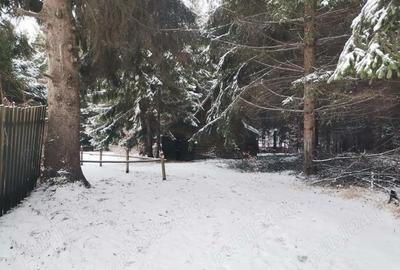 Teren de 1800 mp, în Central - 6