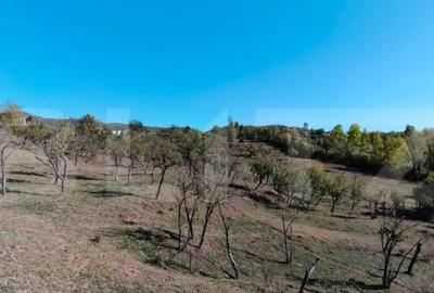 Teren de 7382 mp, în Central - 4