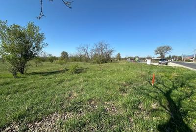 Teren Construcții intravilan de 6148 mp, în Runcu - 3