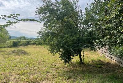 Teren intravilan 556mp Bârnova - pret negociabi - 6