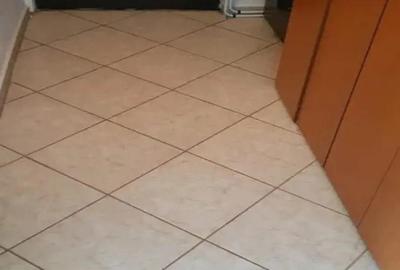 Garsoniera Lipovei confort 1 mobilata utilata 4 apartamente pe etaj - 3