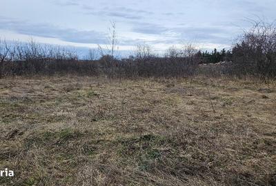 Teren de 450 mp, în Central