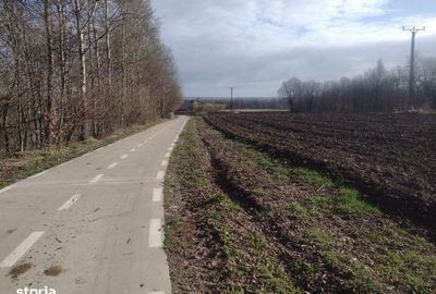 Teren de 6300 mp, în Central - 3