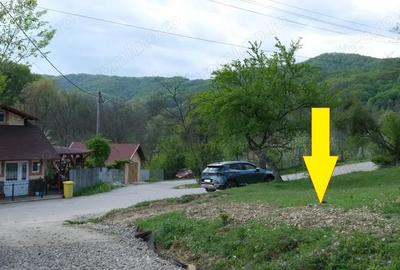 7700 Euro vanzare 220 mp teren asfalt apa gaz si curent Cosminele Prahova superb - 4