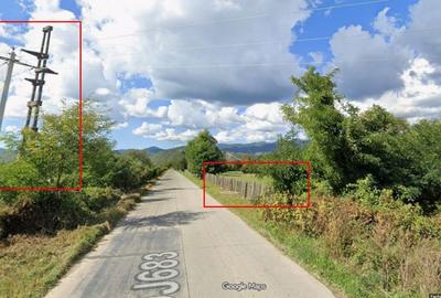 Teren de 7838 mp, în Zăvoi - 5
