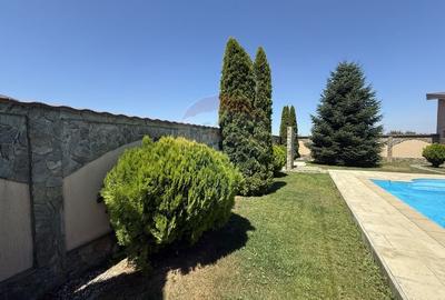 Casa de vacanta la 200m de Dunare - 43