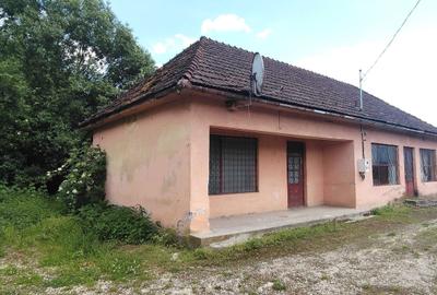 Casă cu 2 camere în Central