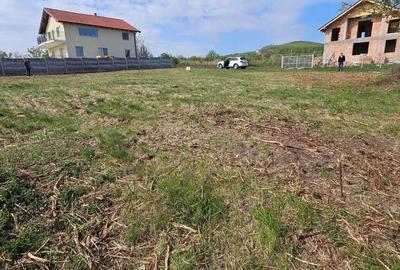 Casă în Central - 5