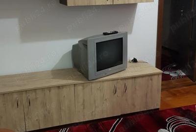 Apartament cu 2 camere semidecomandat în Aradul Nou - 4