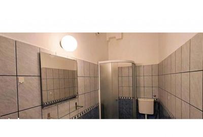 1 Mai Domenii - casa, 4 camere, curte, multiple dependinte, parcare - 2