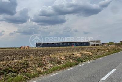 Teren agricol extravilan de 7000 mp, în Miroslava - 6