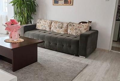 Apartament cu 2 camere semidecomandat, mobilat în Dacia - 4