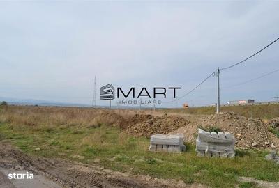 Teren de 6500 mp, în Veterani - 4