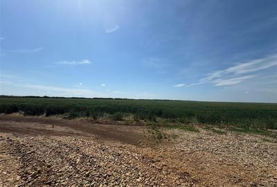 RECO Parcele de Teren Industrial Nojorid - 4