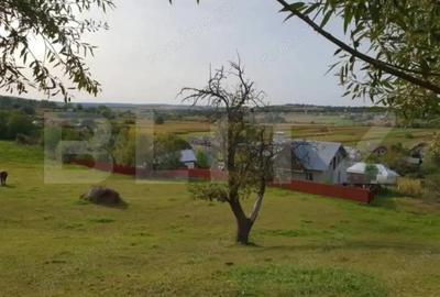 Casă cu 2 camere cu Teren 2700 Mp în Central - 1