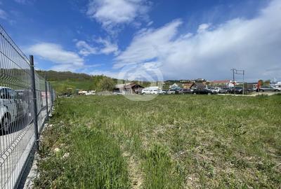Teren Construcții intravilan de 2300 mp, în Cristian - 2
