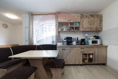 Casa individuala mobilata utilata - 9