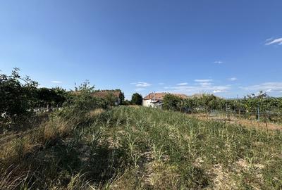 Spațiu comercial, în Păntășești - 3