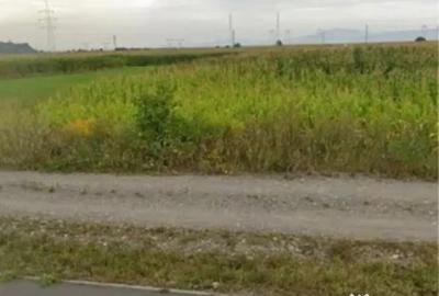 Teren de 8752 mp, în Calea București - 3