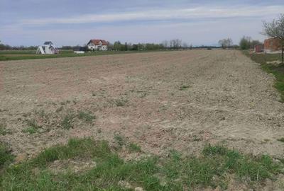 Teren de 6840 mp, în Cionchești - 6
