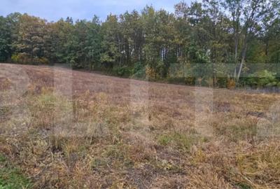 Teren de 2882 mp, în Bejan - 3