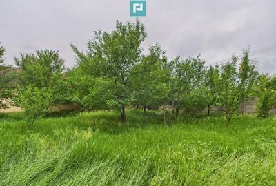 Casă cu 3 camere cu Teren 1547 Mp în Variaș - 17