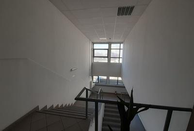 Hala 430 mp in zona Fizicienilor + platforme betonate sau birouri - 6