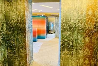 Floreasca | Penthouse | Duplex | Pescariu | 480mp | Gradina - 10