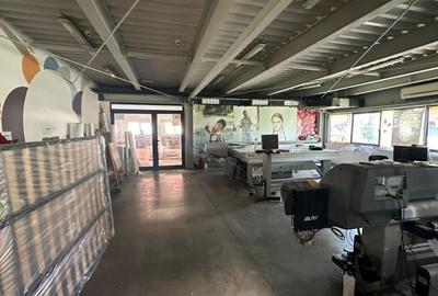 Spațiu industrial, în Torontalului - 4