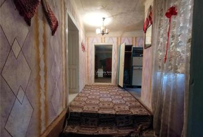 Bogodint, Casa 440mp cu 4 Hectare Teren, Pret Negociabil - 8