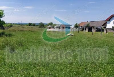 Cicarlau, teren intravilan, zona de case, suprafata 2936 mp - 4
