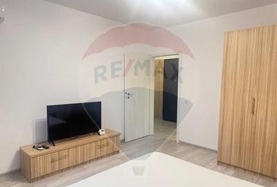 Garsonieră, mobilată în Lujerului - 5